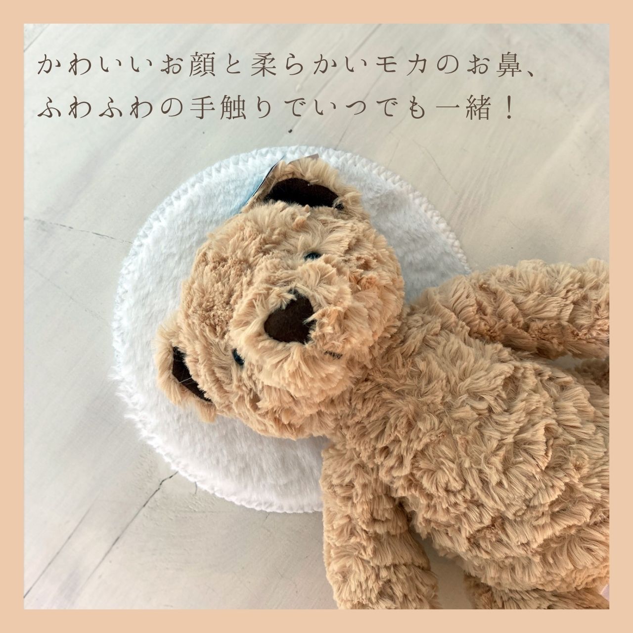 Edward Bear Mサイズ03