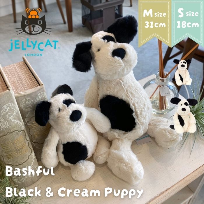 Bashful Black & Cream Puppy Mサイズ01