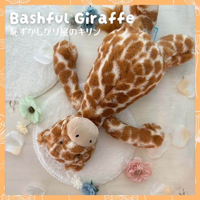Bashful Giraffe Mサイズ05