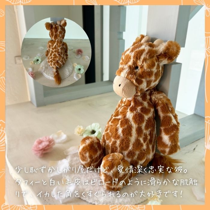 Bashful Giraffe Mサイズ06