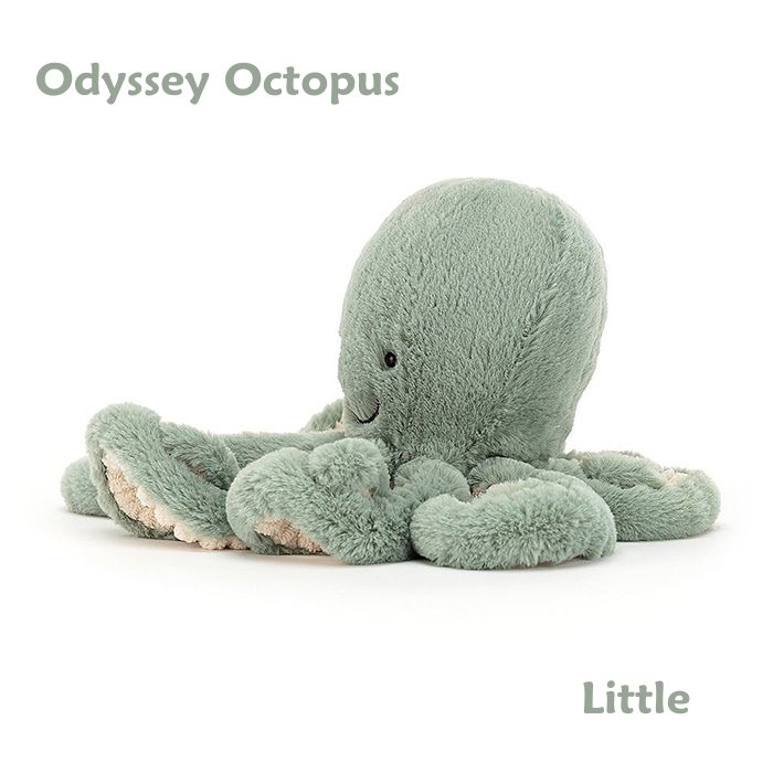 Odyssey Octopus Little01
