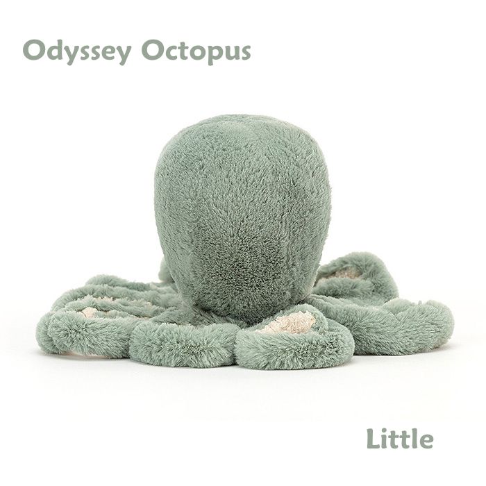Odyssey Octopus Little02