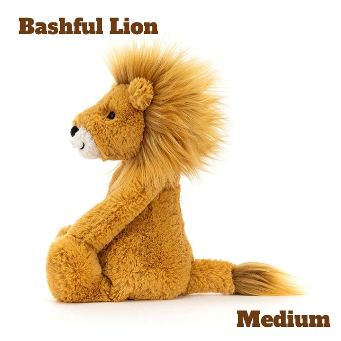 Bashful Lion Mサイズ01