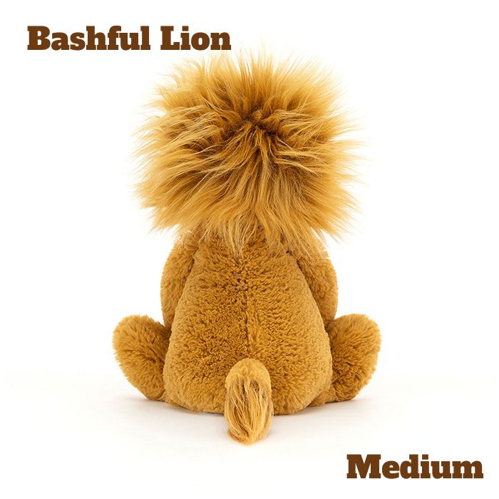 Bashful Lion Mサイズ02