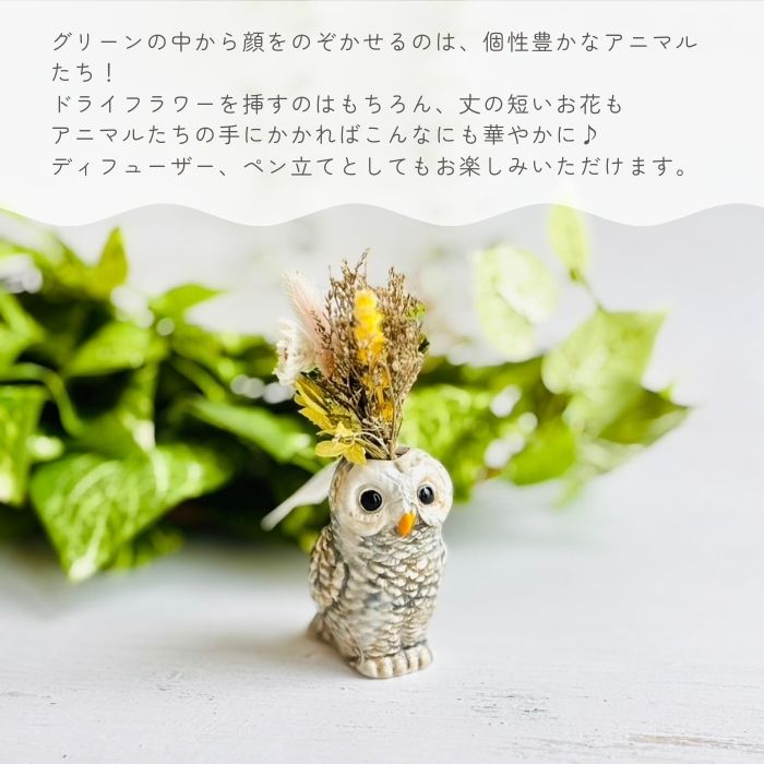 アニマルベース Owl フクロウ01