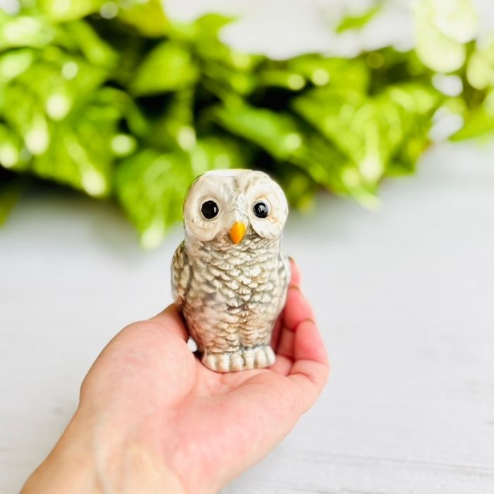 アニマルベース Owl フクロウ06