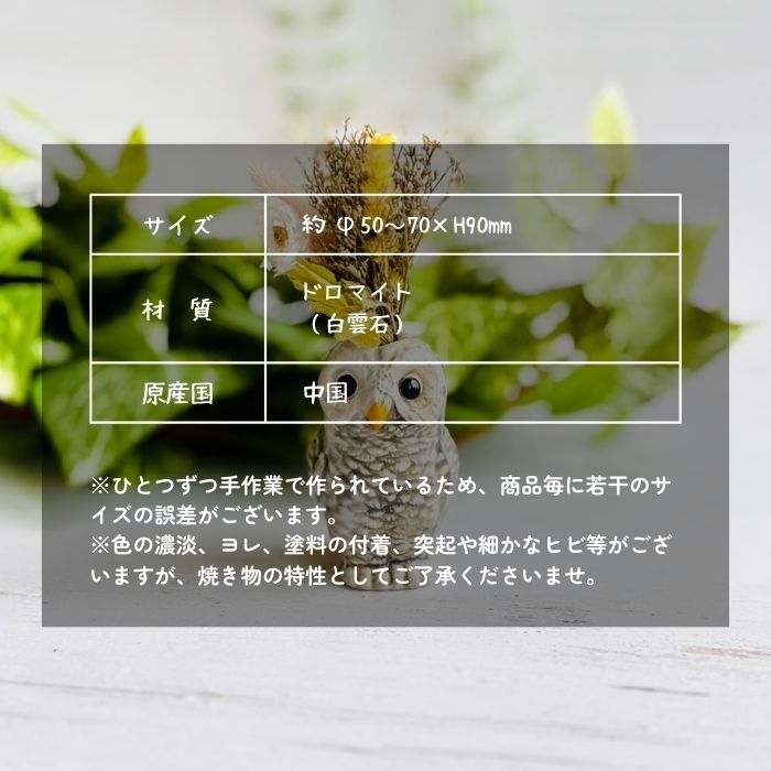 アニマルベース Owl フクロウ09