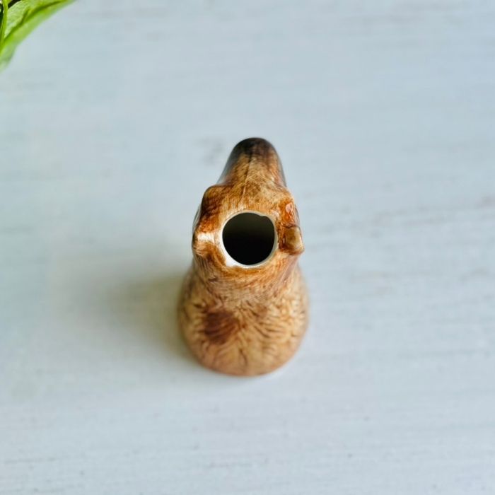 アニマルベース Capybara カピバラ05