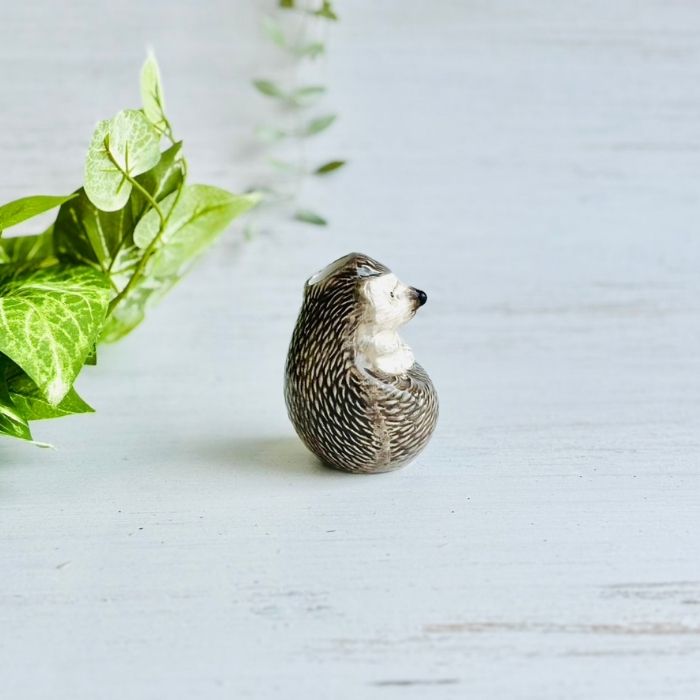 アニマルベース Hedgehog ハリネズミ03