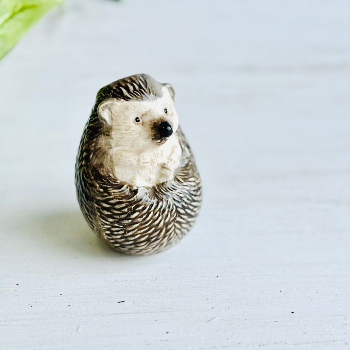 アニマルベース Hedgehog ハリネズミ06