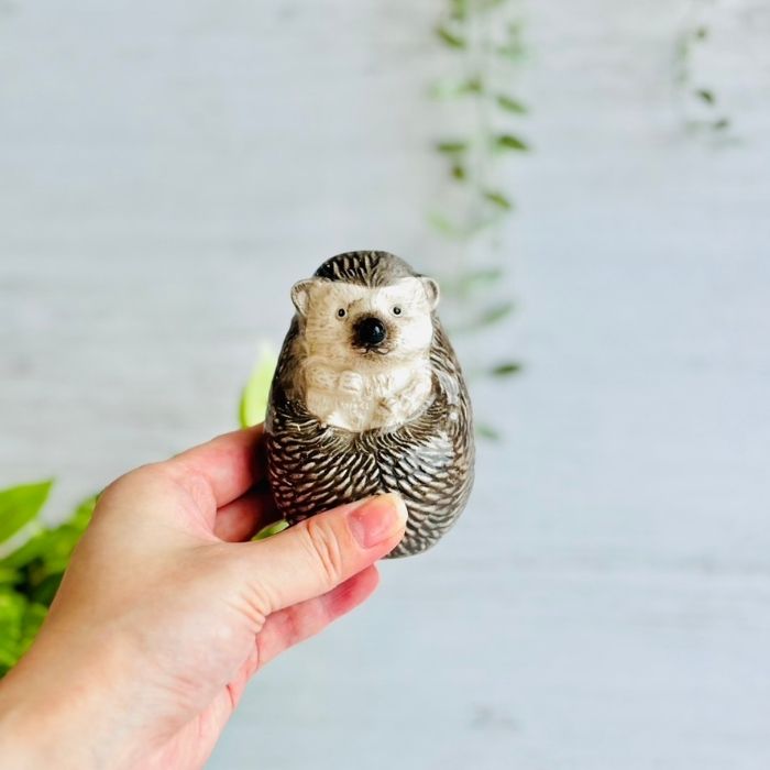 アニマルベース Hedgehog ハリネズミ07