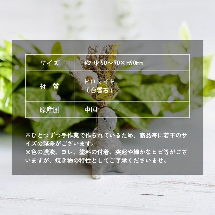 アニマルベース Brachiosaurus ブラキオサウルス09