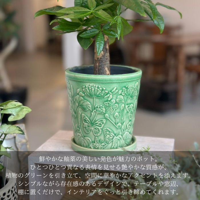 Pot&Saucer アコール01
