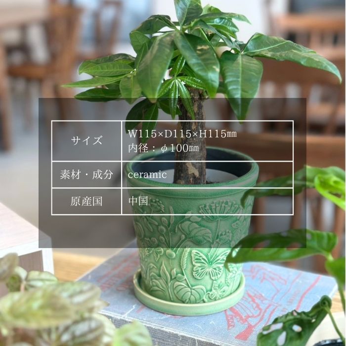 Pot&Saucer アコール05