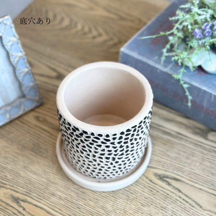 Pot＆Saucer メイズ03