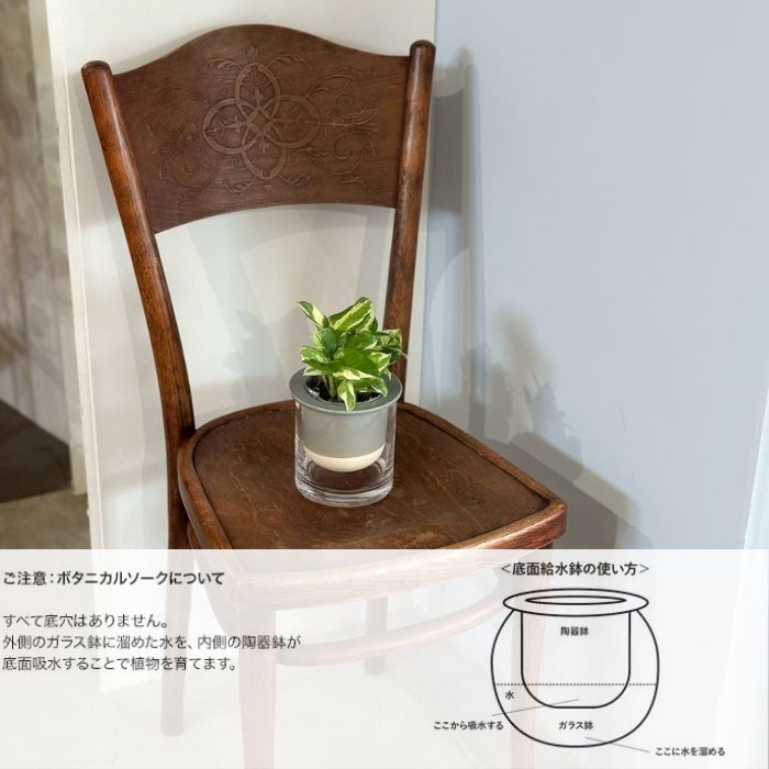 ボタニカルソーク 11CH08