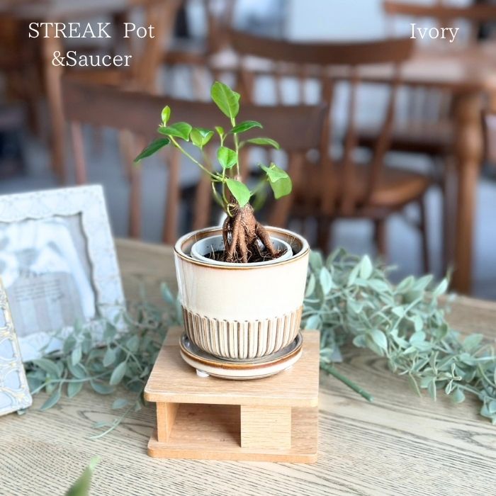 STREAK Pot＆Saucer　Ivory