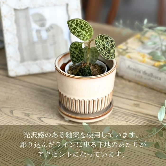 STREAK Pot＆Saucer　Ivory01