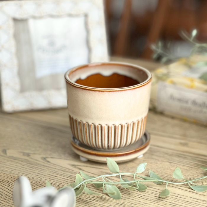 STREAK Pot＆Saucer　Ivory02