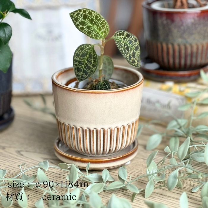 STREAK Pot＆Saucer　Ivory07