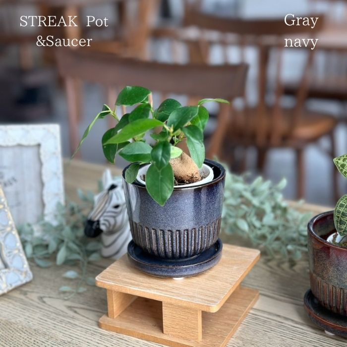 STREAK Pot＆Saucer　Graynavy