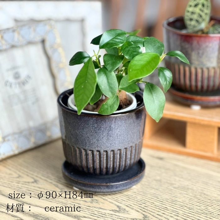 STREAK Pot&Saucer Graynavy08