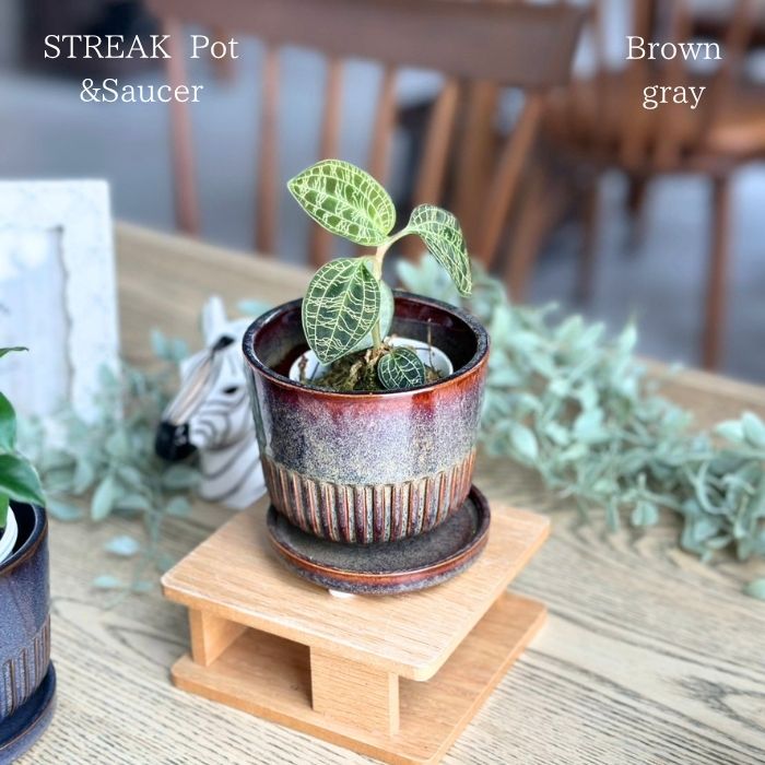STREAK Pot＆Saucer　Browngray