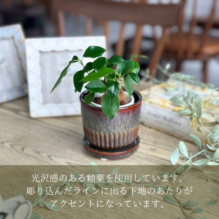 STREAK Pot&Saucer Browngray01