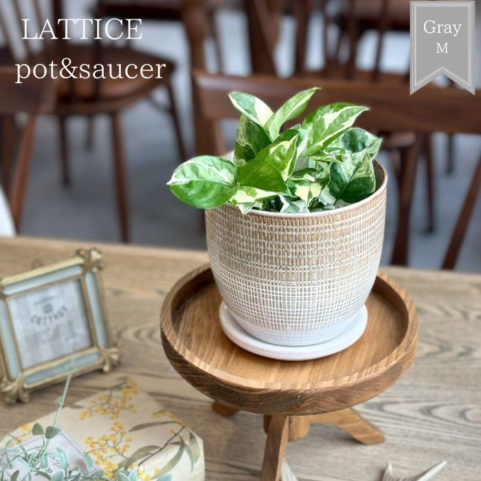 LATTICE pot&saucer M Gray