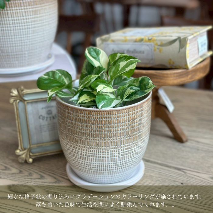 LATTICE pot&saucer M Gray01