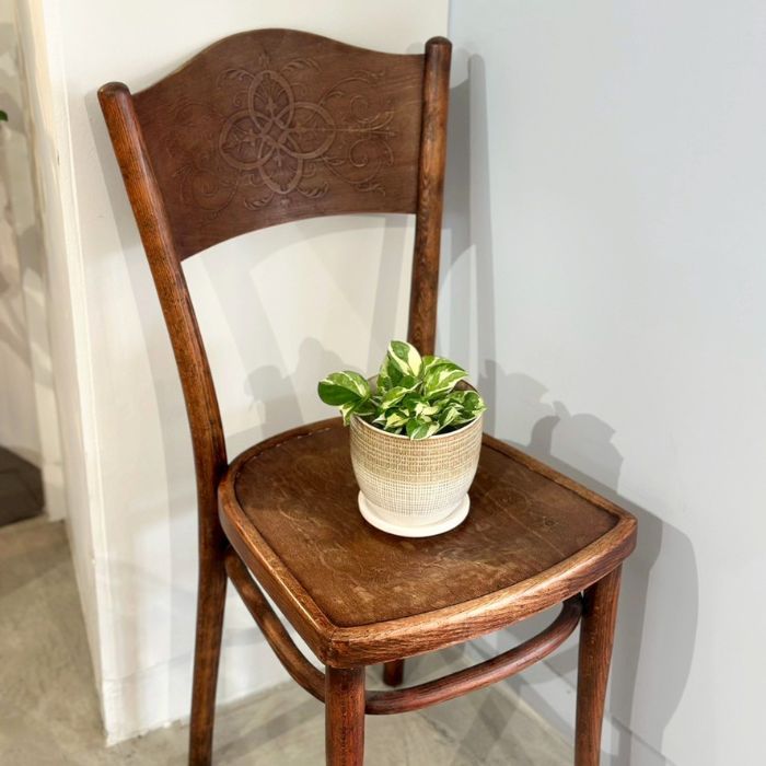 LATTICE pot&saucer M Gray02