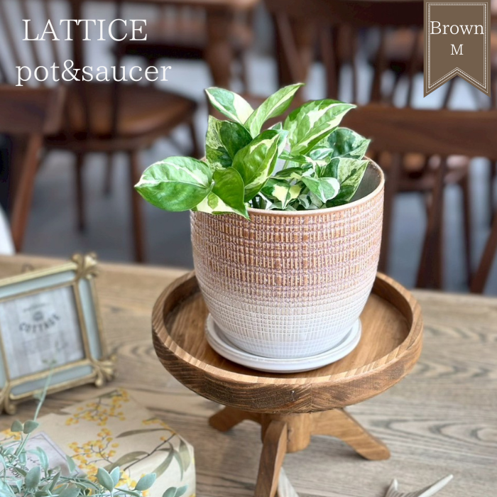 LATTICE pot&saucer M Brown