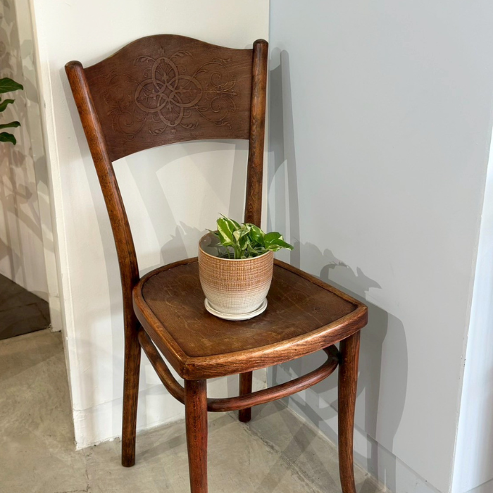 LATTICE pot&saucer M Brown02