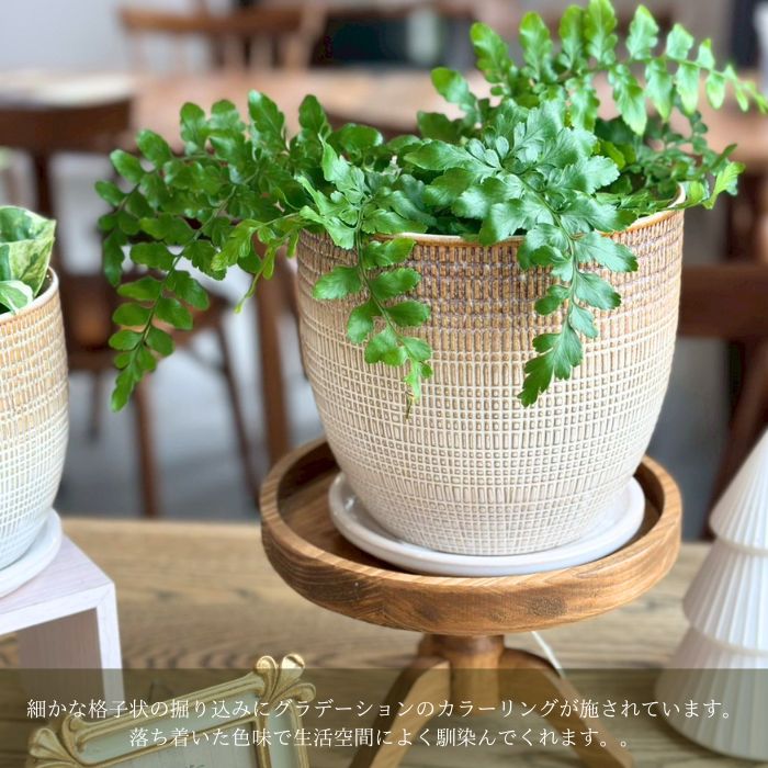 LATTICE pot&saucer L Gray01
