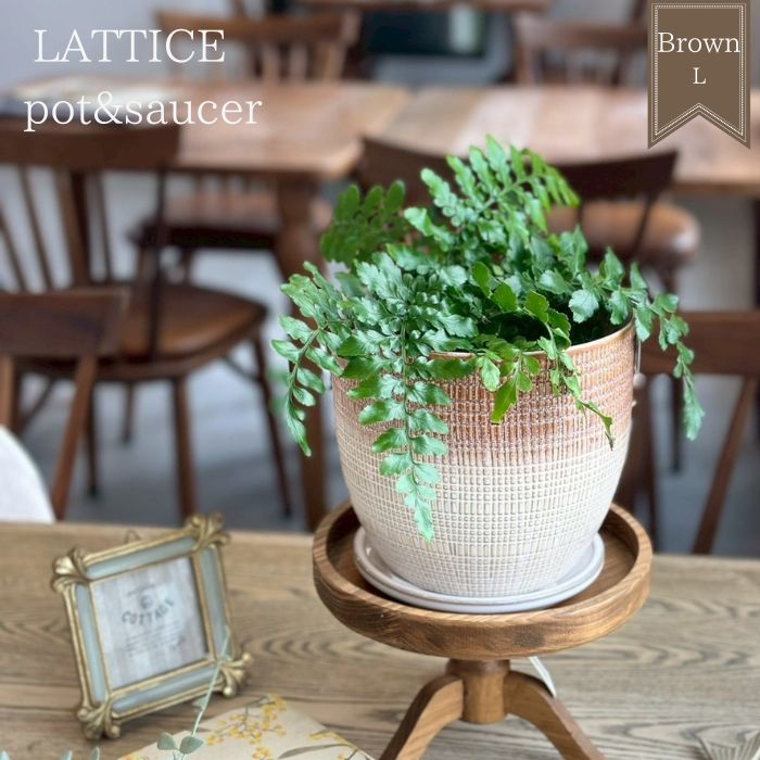 LATTICE pot&saucer L Brown
