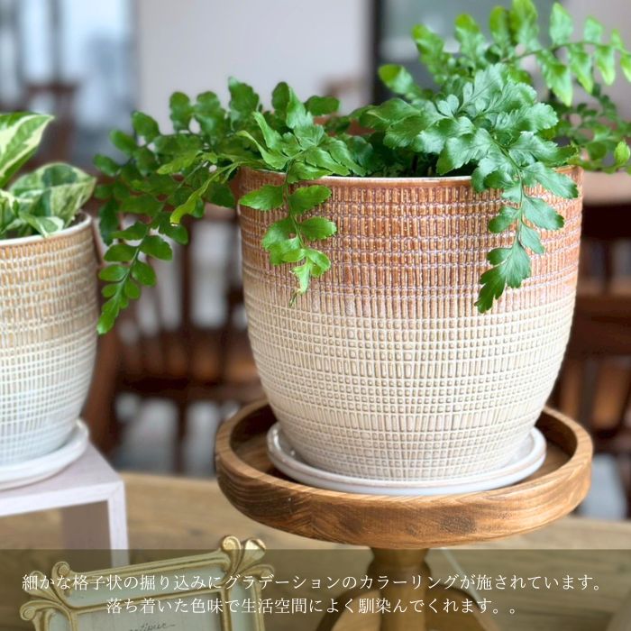 LATTICE pot&saucer L Brown01