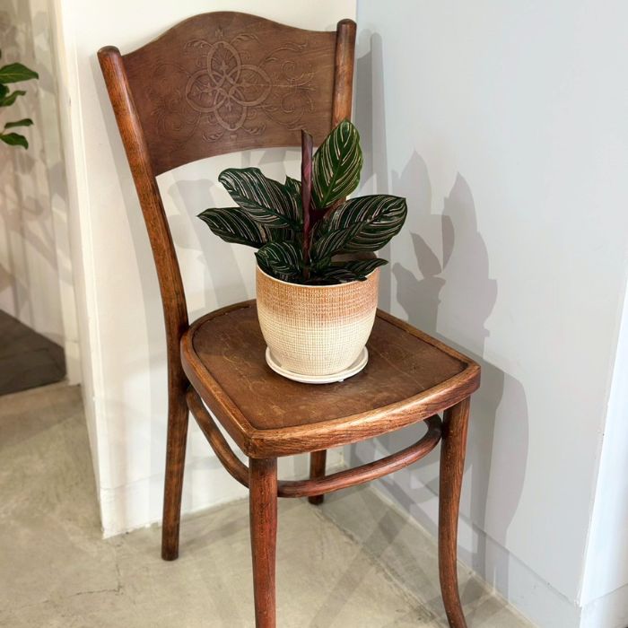 LATTICE pot&saucer L Brown02