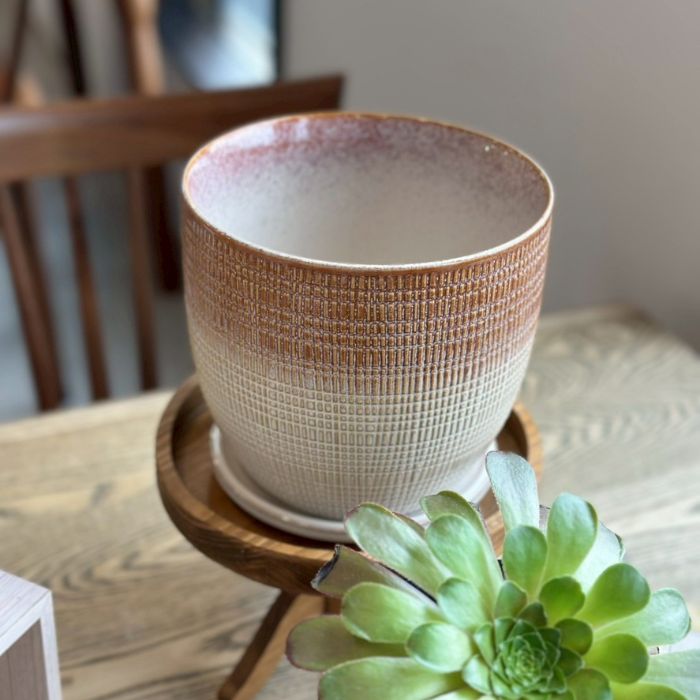LATTICE pot&saucer L Brown03