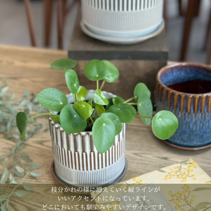 BRANCH pot&saucer S White01