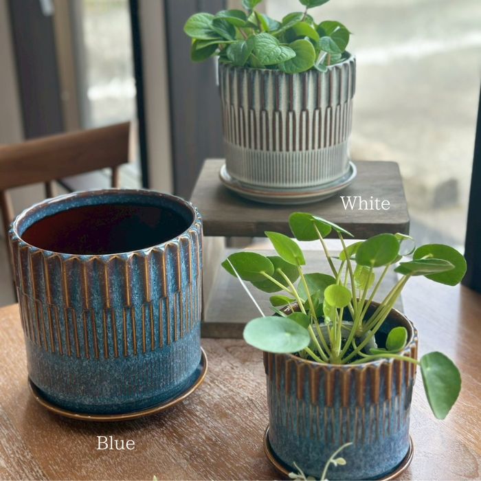 BRANCH pot&saucer S White06