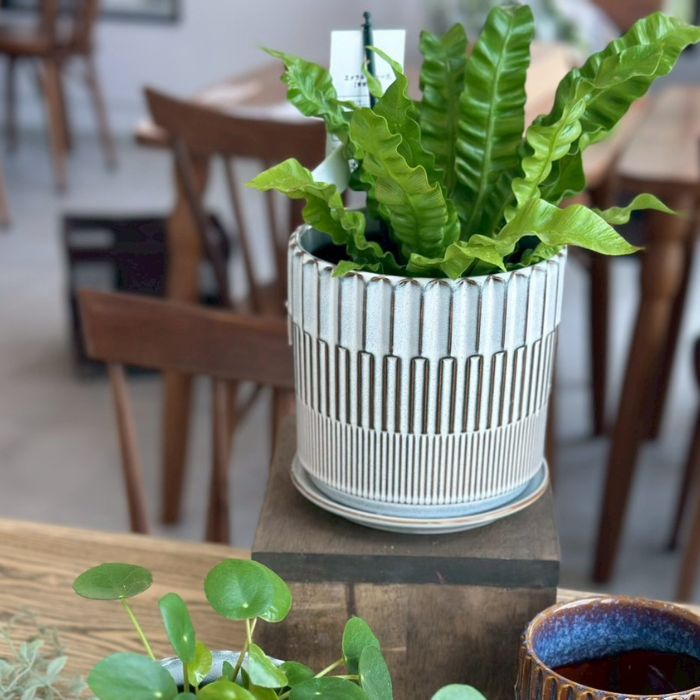 BRANCH pot&saucer M White02