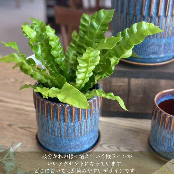 BRANCH　pot&saucer M Blue01