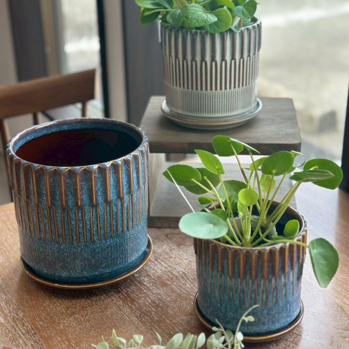 BRANCH　pot&saucer M Blue02