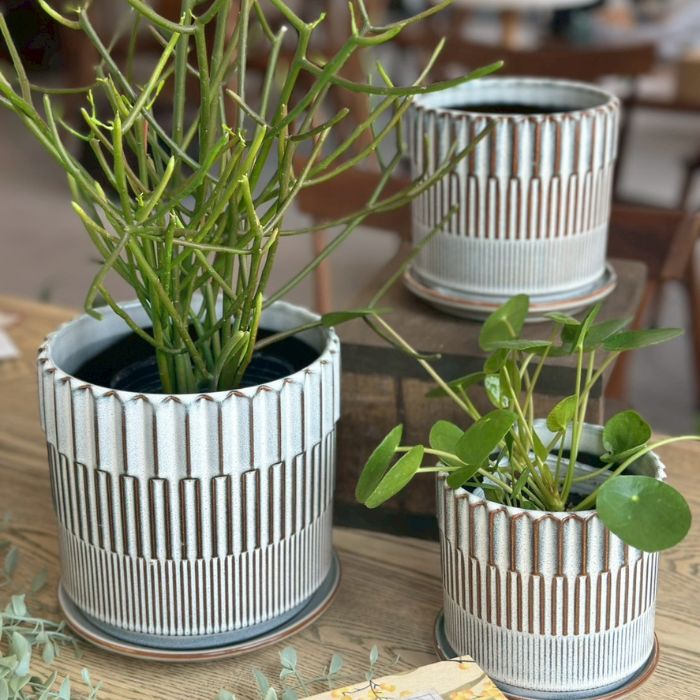 BRANCH　pot&saucer L White02