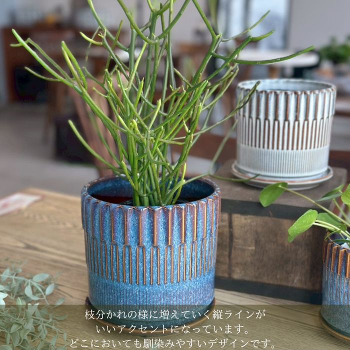 BRANCH　pot&saucer L Blue01