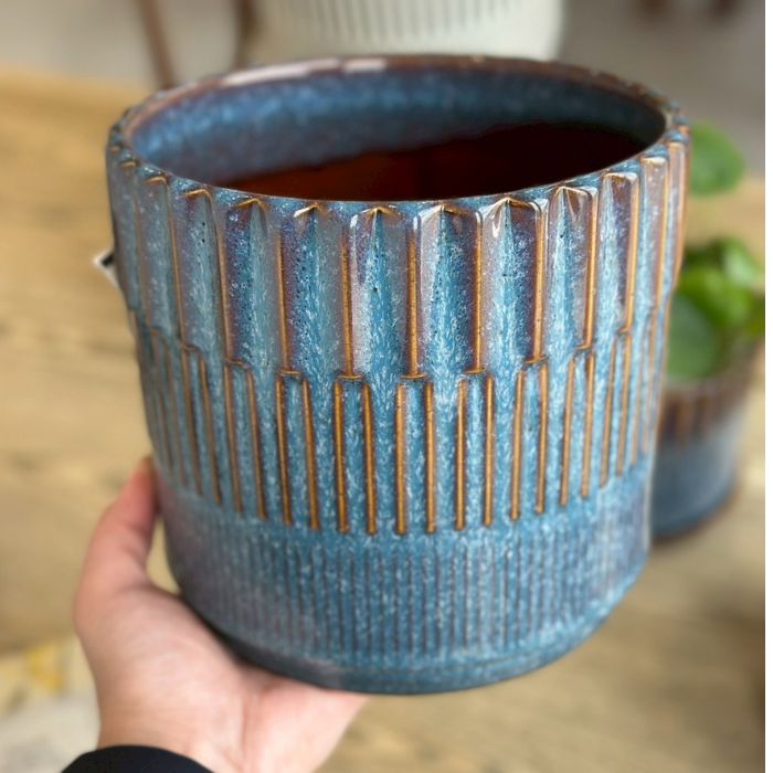 BRANCH　pot&saucer L Blue05