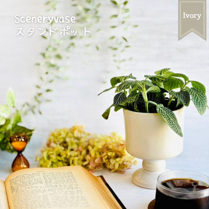 V.WIENNA ボウル 深皿 Sサイズ グリーン