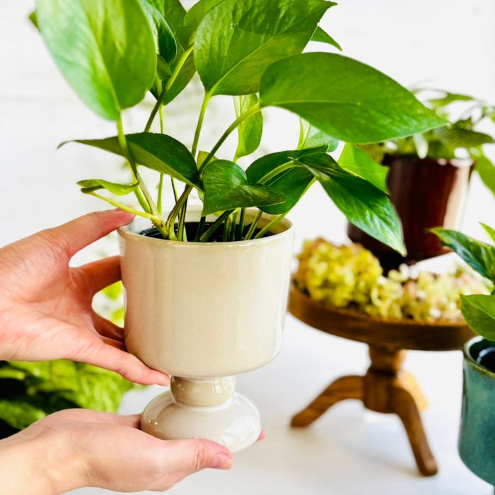 Sceneryvase スタンドポット アイボリー05