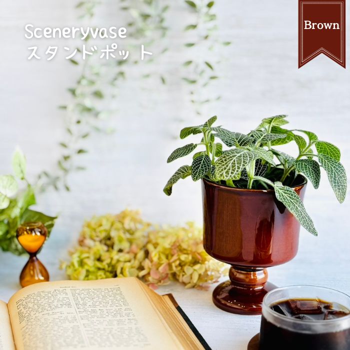 V.WIENNA ボウル 深皿 Sサイズ グリーン