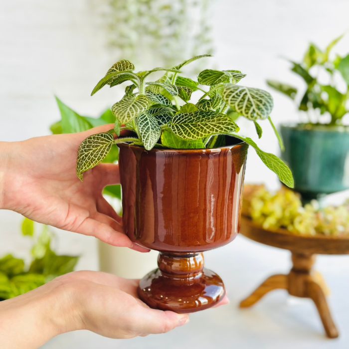 Sceneryvase スタンドポット ブラウン05